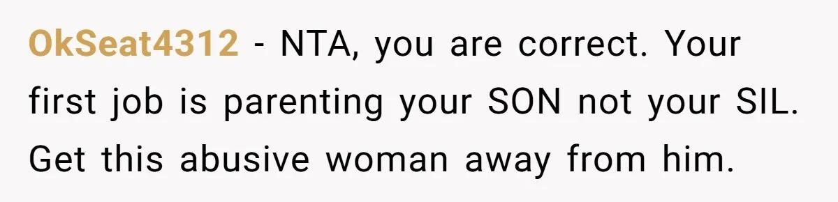 OkSeat4312 - NTA, you are correct. Your first job is parenting your SON not your SIL. Get this abusive woman away from him.