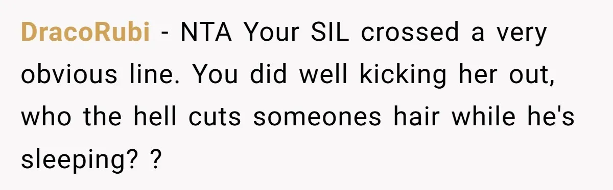 DracoRubi - NTA Your SIL crossed a very obvious line. You did well kicking her out, who the hell cuts someones hair while he's sleeping? ?