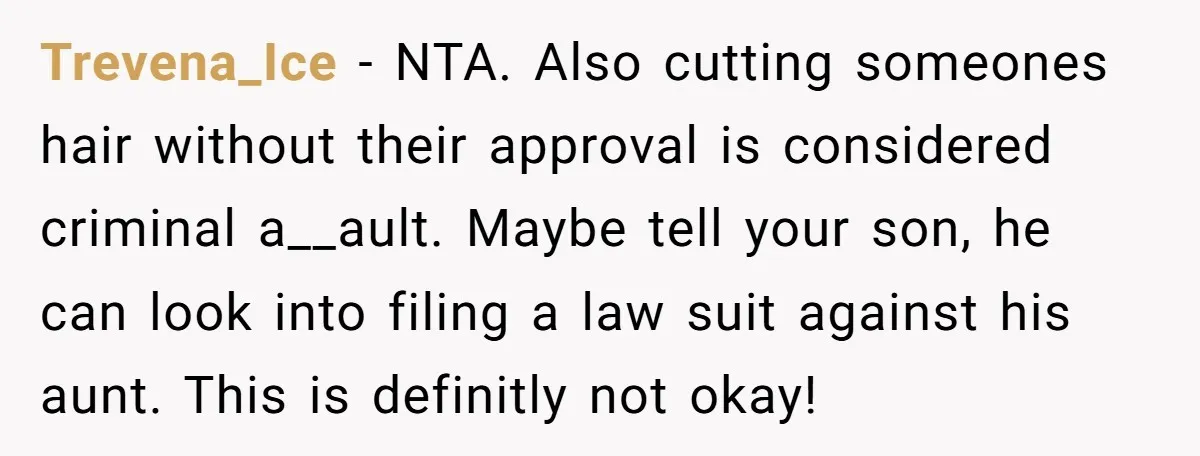 Trevena_Ice - NTA. Also cutting someones hair without their approval is considered criminal a__ault. Maybe tell your son, he can look into filing a law suit against his aunt. This...