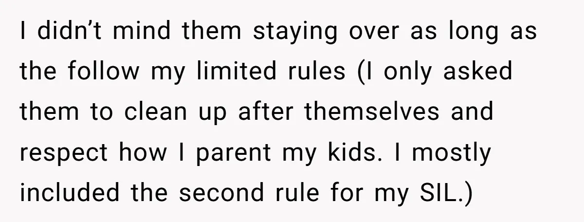 I didn’t mind them staying over as long as the follow my limited rules (I only asked them to clean up after themselves and respect how I parent my kids....