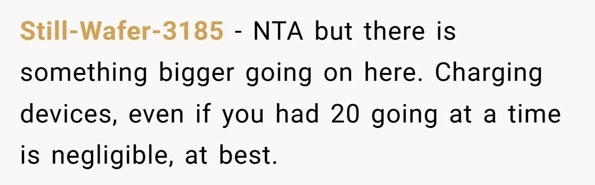 Still-Wafer-3185 − NTA but there is something bigger going on here. Charging devices, even if you had 20 going at a time is negligible, at best.
