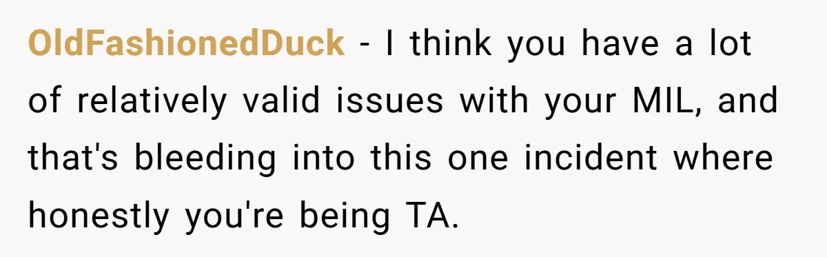 OldFashionedDuck − I think you have a lot of relatively valid issues with your MIL, and that's bleeding into this one incident where honestly you're being TA.