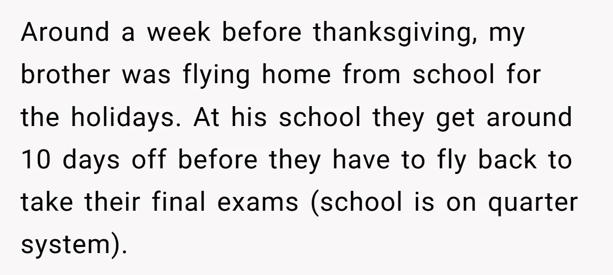 Around a week before thanksgiving, my brother was flying home from school for the holidays. At his school they get around 10 days off before they have to fly back...