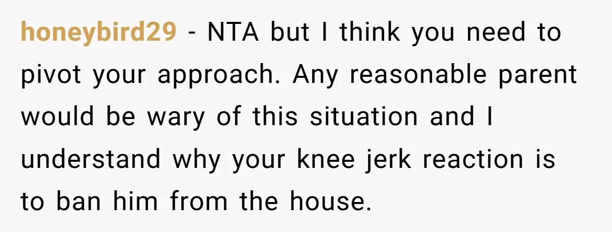 honeybird29 − NTA but I think you need to pivot your approach. Any reasonable parent would be wary of this situation and I understand why your knee jerk reaction is...