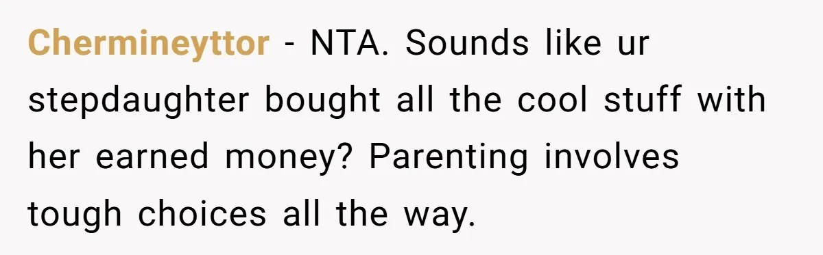 Chermineyttor − NTA. Sounds like ur stepdaughter bought all the cool stuff with her earned money? Parenting involves tough choices all the way.