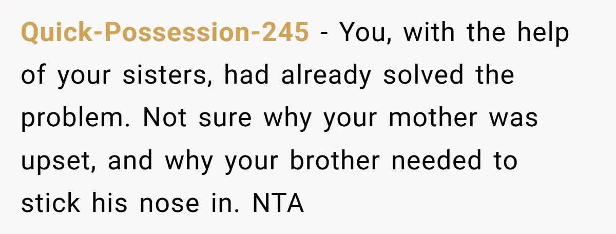 Quick-Possession-245 − You, with the help of your sisters, had already solved the problem. Not sure why your mother was upset, and why your brother needed to stick his nose...