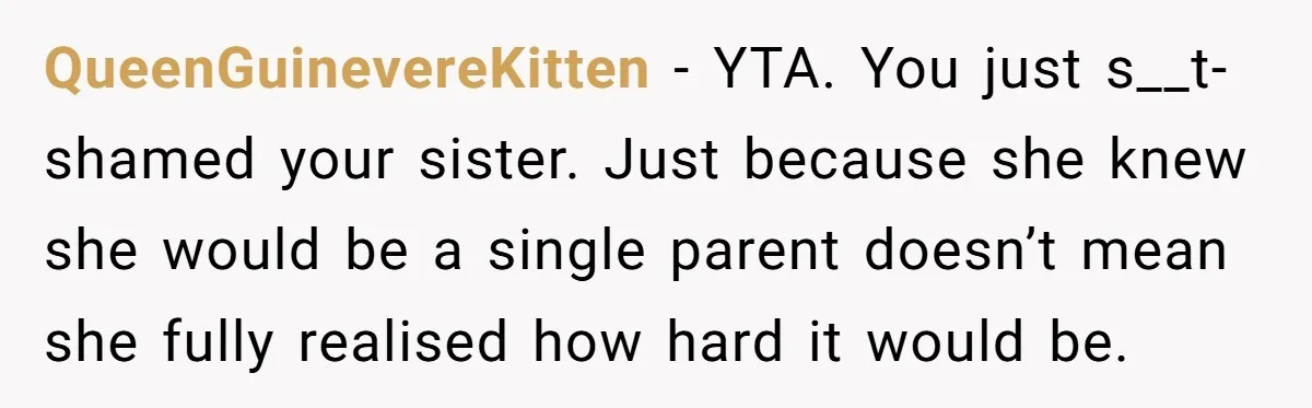 QueenGuinevereKitten − YTA. You just s__t-shamed your sister. Just because she knew she would be a single parent doesn’t mean she fully realised how hard it would be.
