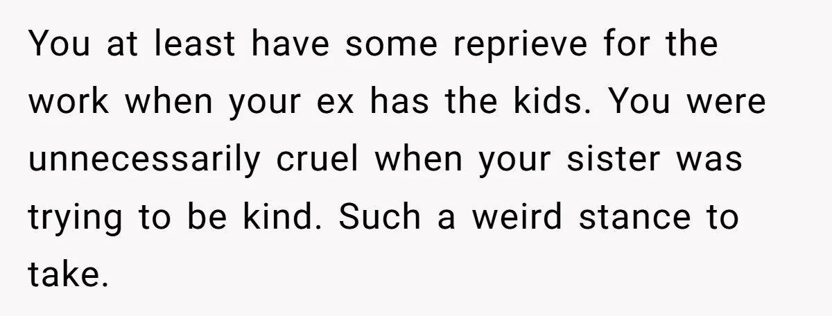 You at least have some reprieve for the work when your ex has the kids. You were unnecessarily cruel when your sister was trying to be kind. Such a weird...