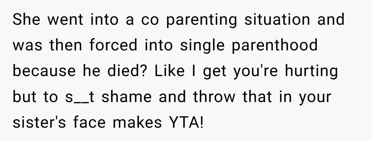 She went into a co parenting situation and was then forced into single parenthood because he died? Like I get you're hurting but to s__t shame and throw that in...