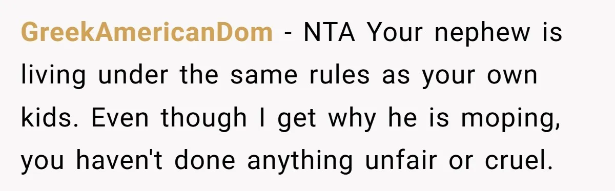 GreekAmericanDom − NTA Your nephew is living under the same rules as your own kids. Even though I get why he is moping, you haven't done anything unfair or cruel.