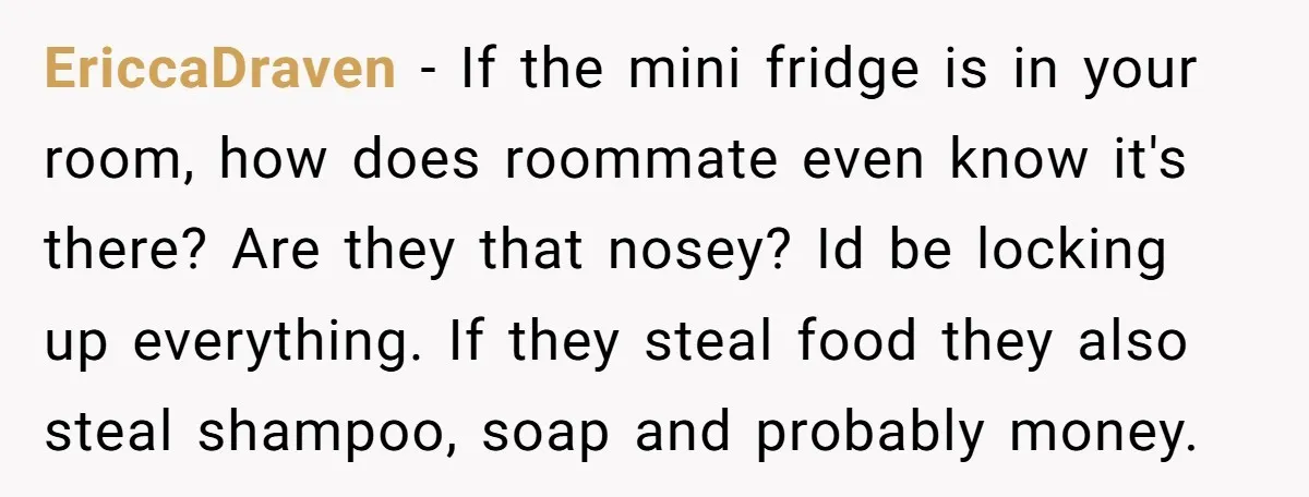 EriccaDraven − If the mini fridge is in your room, how does roommate even know it's there? Are they that nosey? Id be locking up everything. If they steal food...