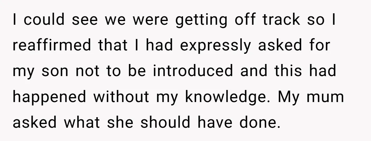 I could see we were getting off track so I reaffirmed that I had expressly asked for my son not to be introduced and this had happened without my knowledge....
