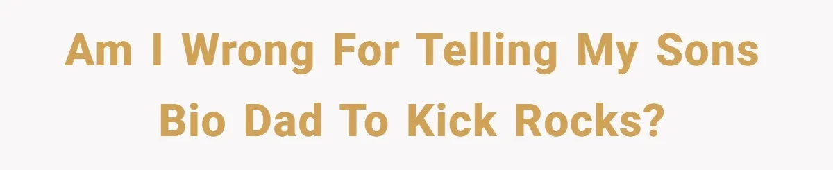 Am I wrong for telling my sons bio dad to kick rocks?