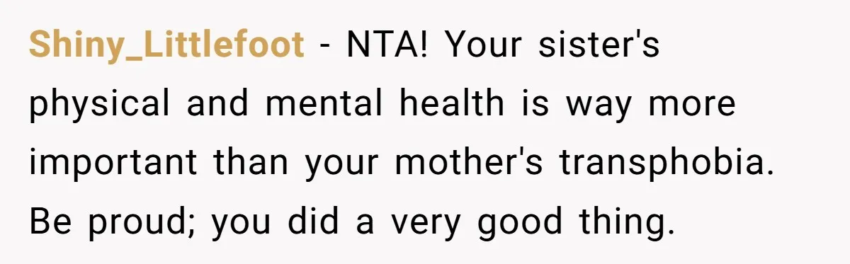 Shiny_Littlefoot − NTA! Your sister's physical and mental health is way more important than your mother's transphobia. Be proud; you did a very good thing.