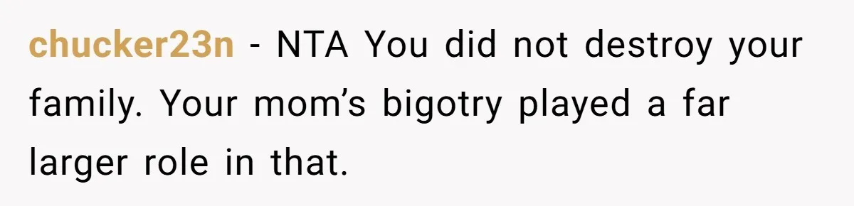 chucker23n − NTA You did not destroy your family. Your mom’s bigotry played a far larger role in that.