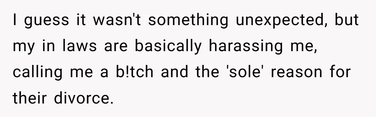 I guess it wasn't something unexpected, but my in laws are basically harassing me, calling me a b!tch and the 'sole' reason for their divorce.