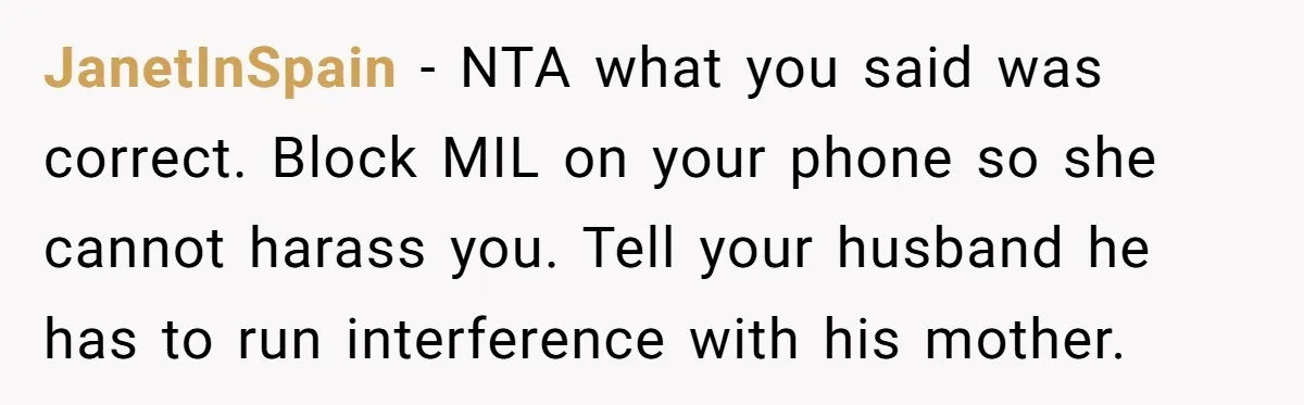 JanetInSpain − NTA what you said was correct. Block MIL on your phone so she cannot harass you. Tell your husband he has to run interference with his mother.