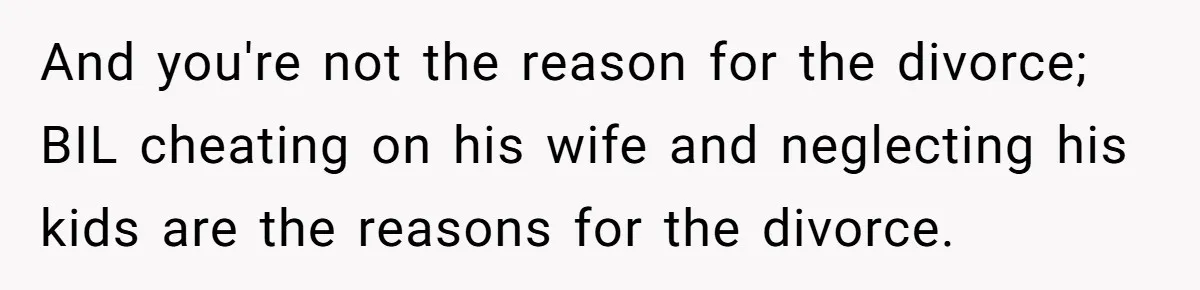 And you're not the reason for the divorce; BIL cheating on his wife and neglecting his kids are the reasons for the divorce.