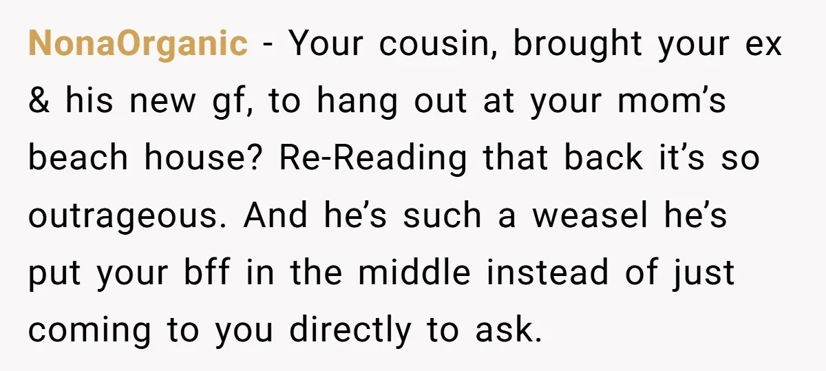 NonaOrganic − Your cousin, brought your ex & his new gf, to hang out at your mom’s beach house? Re-Reading that back it’s so outrageous. And he’s such a weasel...