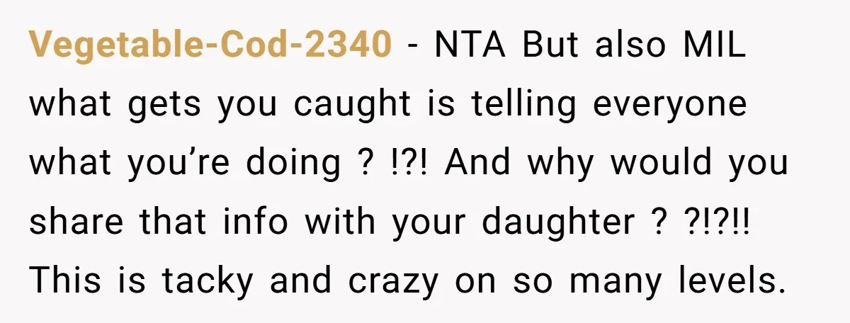 Vegetable-Cod-2340 − NTA But also MIL what gets you caught is telling everyone what you’re doing ? !?! And why would you share that info with your daughter ? ?!?!!...