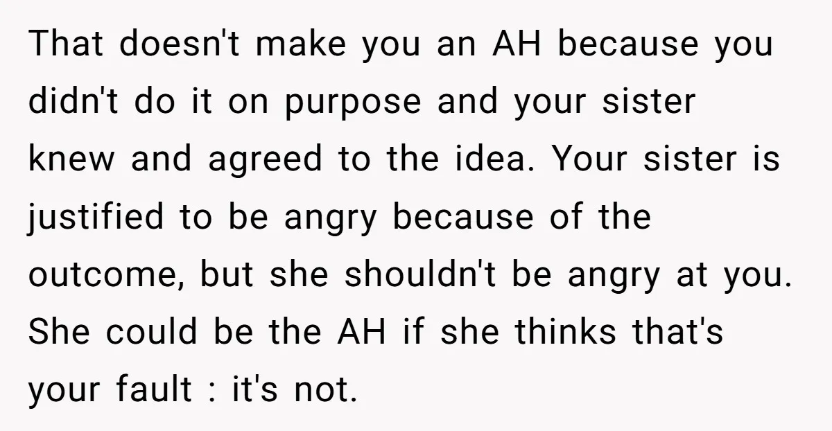 That doesn't make you an AH because you didn't do it on purpose and your sister knew and agreed to the idea. Your sister is justified to be angry because...