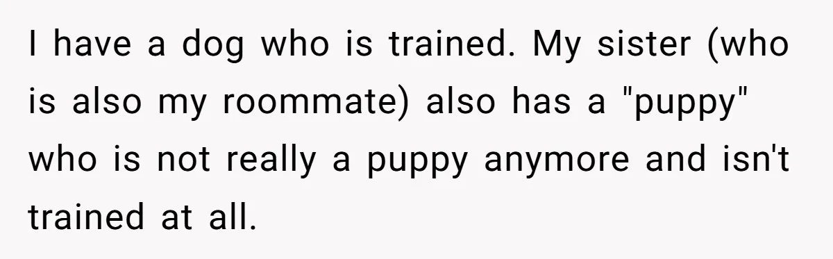 I have a dog who is trained. My sister (who is also my roommate) also has a "puppy" who is not really a puppy anymore and isn't trained at all.