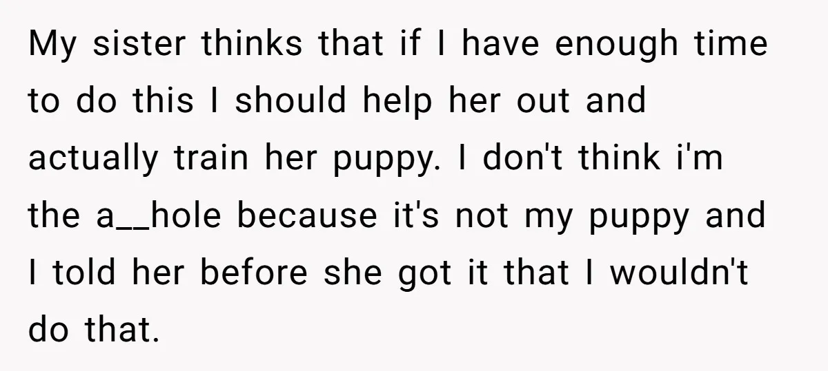 My sister thinks that if I have enough time to do this I should help her out and actually train her puppy. I don't think i'm the a__hole because it's...