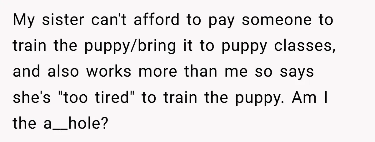 My sister can't afford to pay someone to train the puppy/bring it to puppy classes, and also works more than me so says she's "too tired" to train the puppy....