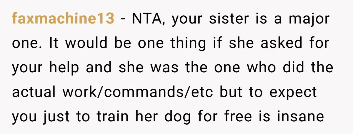 faxmachine13 − NTA, your sister is a major one. It would be one thing if she asked for your help and she was the one who did the actual work/commands/etc...