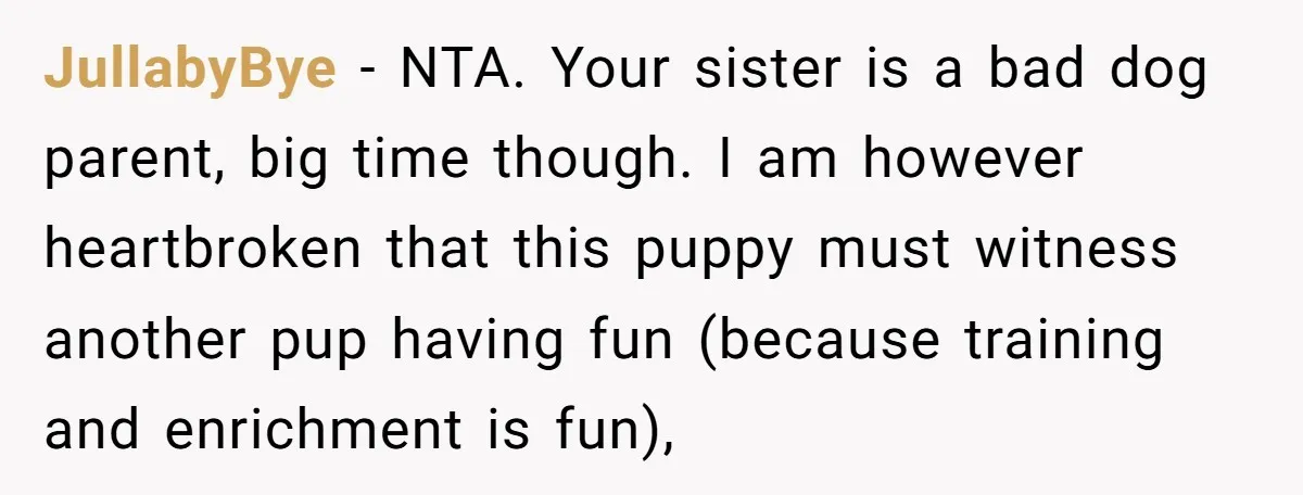 JullabyBye − NTA. Your sister is a bad dog parent, big time though. I am however heartbroken that this puppy must witness another pup having fun (because training and enrichment...