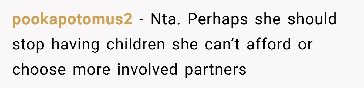 pookapotomus2 − Nta. Perhaps she should stop having children she can’t afford or choose more involved partners