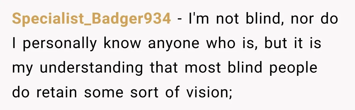 Specialist_Badger934 − I'm not blind, nor do I personally know anyone who is, but it is my understanding that most blind people do retain some sort of vision;
