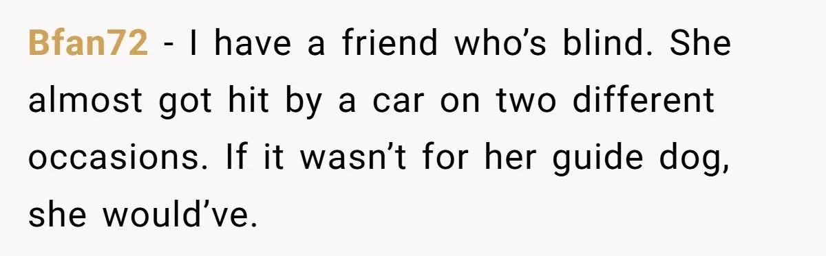 Bfan72 − I have a friend who’s blind. She almost got hit by a car on two different occasions. If it wasn’t for her guide dog, she would’ve.
