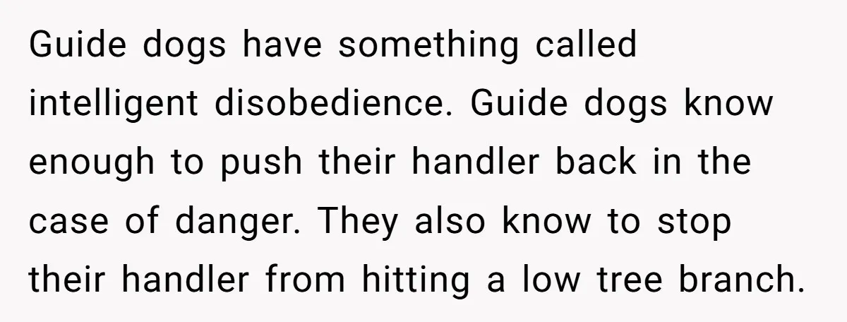 Guide dogs have something called intelligent disobedience. Guide dogs know enough to push their handler back in the case of danger. They also know to stop their handler from hitting...