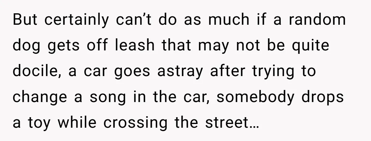 But certainly can’t do as much if a random dog gets off leash that may not be quite docile, a car goes astray after trying to change a song in...