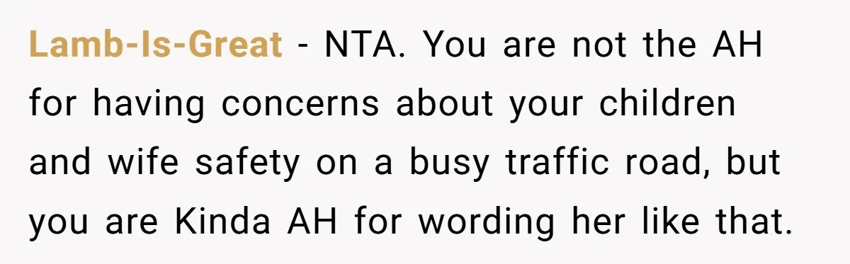 Lamb-Is-Great − NTA. You are not the AH for having concerns about your children and wife safety on a busy traffic road, but you are Kinda AH for wording her...