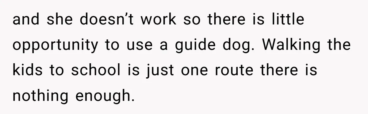 and she doesn’t work so there is little opportunity to use a guide dog. Walking the kids to school is just one route there is nothing enough.