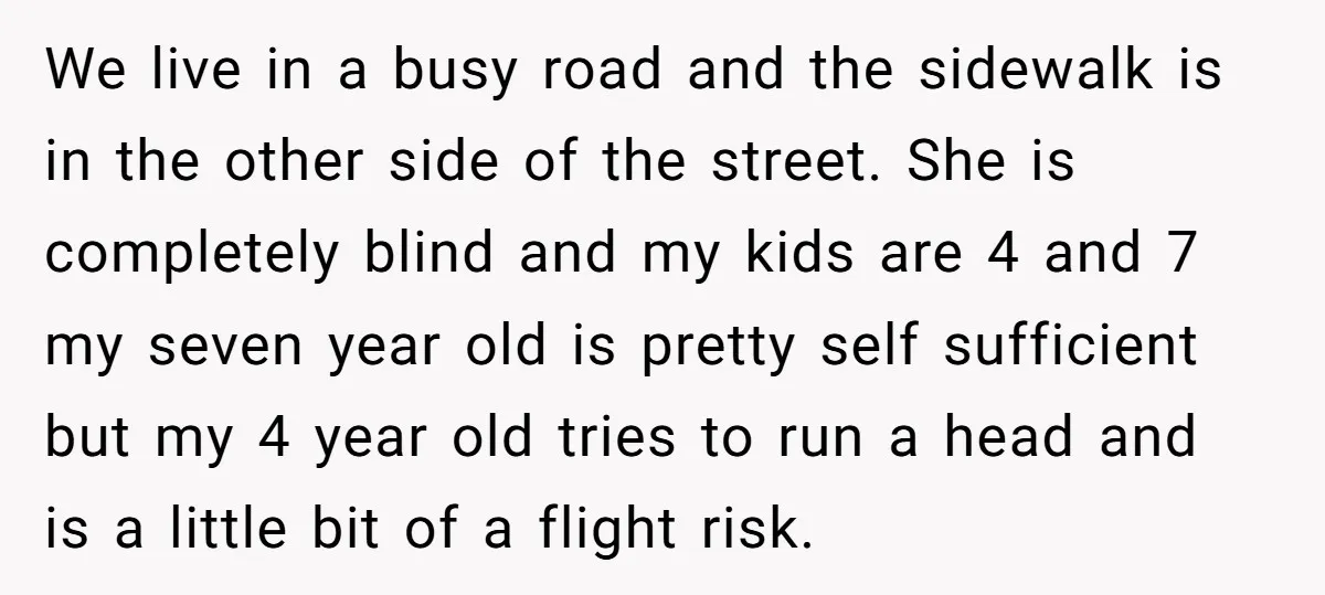 We live in a busy road and the sidewalk is in the other side of the street. She is completely blind and my kids are 4 and 7 my seven...