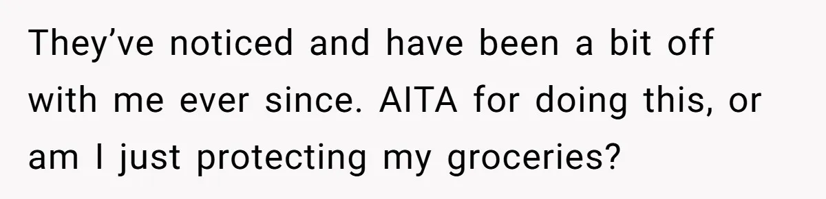 They’ve noticed and have been a bit off with me ever since. AITA for doing this, or am I just protecting my groceries?
