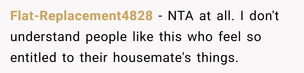 Flat-Replacement4828 − NTA at all. I don't understand people like this who feel so entitled to their housemate's things.