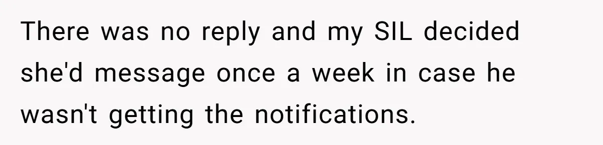 There was no reply and my SIL decided she'd message once a week in case he wasn't getting the notifications.