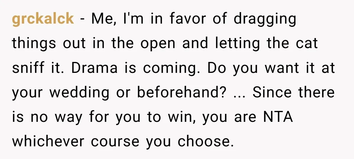 grckalck − Me, I'm in favor of dragging things out in the open and letting the cat sniff it. Drama is coming. Do you want it at your wedding or...