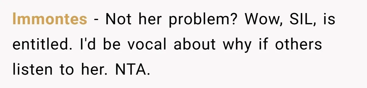 lmmontes − Not her problem? Wow, SIL, is entitled. I'd be vocal about why if others listen to her. NTA.