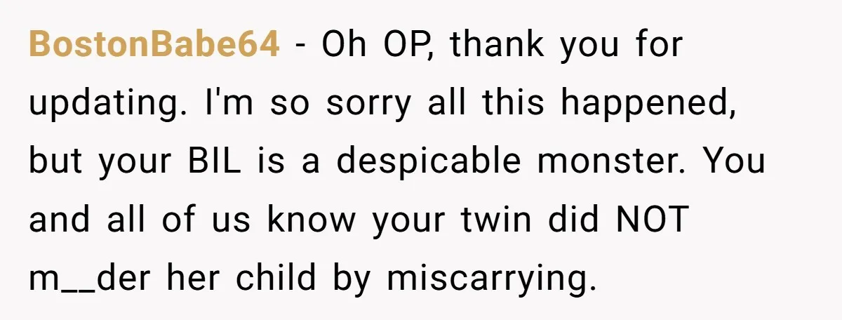 BostonBabe64 − Oh OP, thank you for updating. I'm so sorry all this happened, but your BIL is a despicable monster. You and all of us know your twin did...