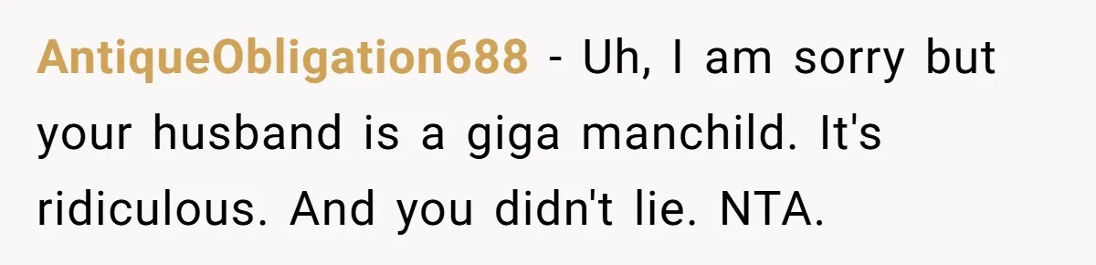 AntiqueObligation688 − Uh, I am sorry but your husband is a giga manchild. It's ridiculous. And you didn't lie. NTA.