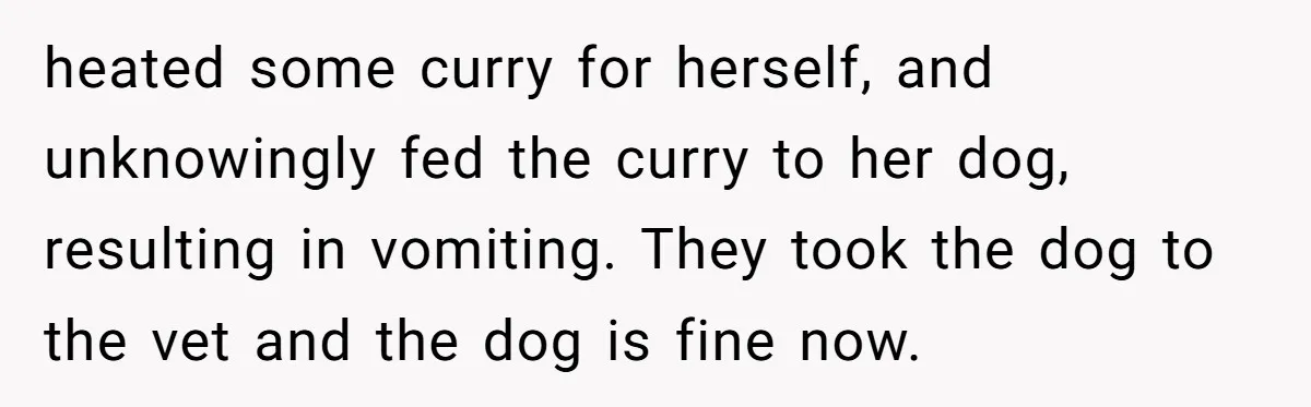 heated some curry for herself, and unknowingly fed the curry to her dog, resulting in vomiting. They took the dog to the vet and the dog is fine now.