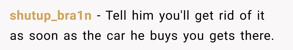 shutup_bra1n − Tell him you'll get rid of it as soon as the car he buys you gets there.