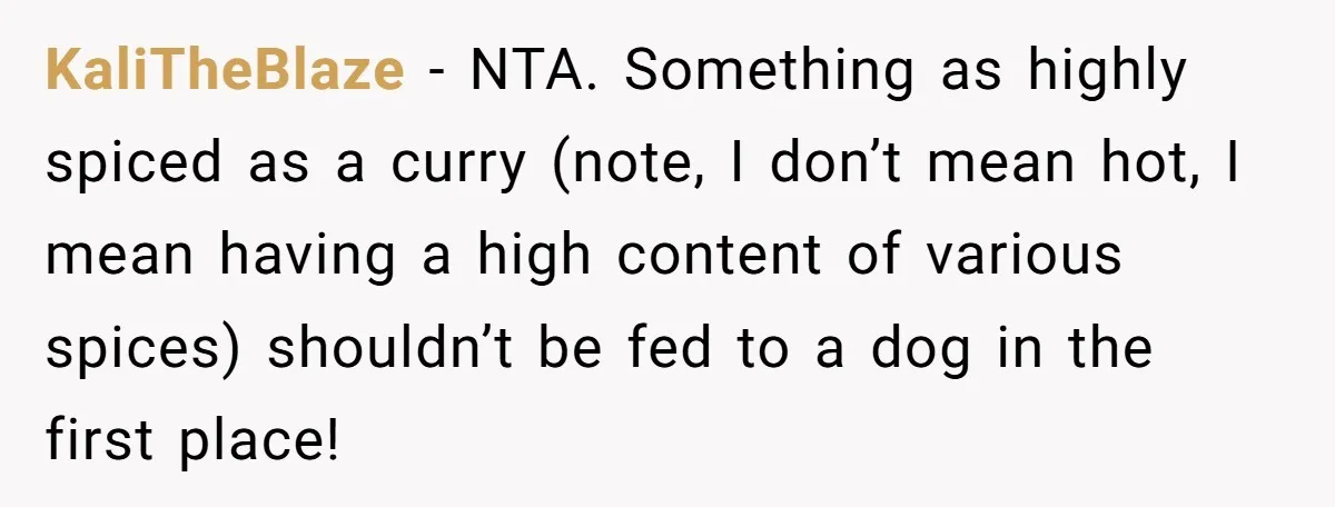KaliTheBlaze − NTA. Something as highly spiced as a curry (note, I don’t mean hot, I mean having a high content of various spices) shouldn’t be fed to a dog...
