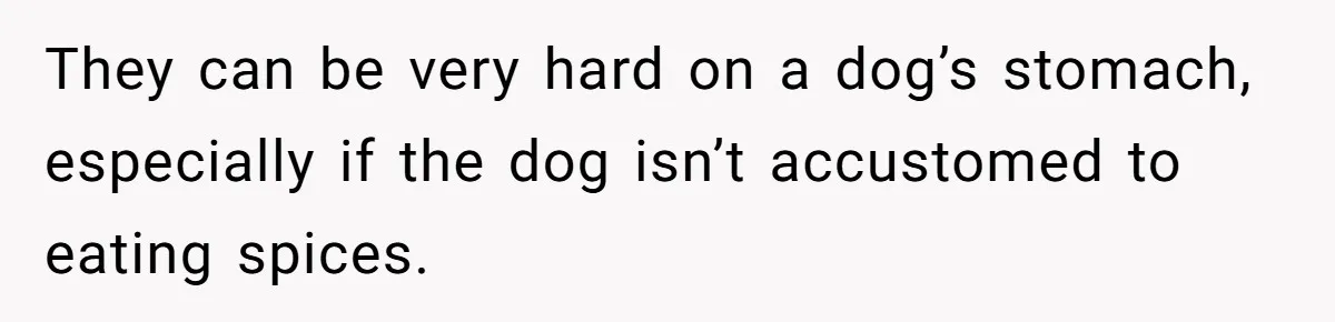 They can be very hard on a dog’s stomach, especially if the dog isn’t accustomed to eating spices.