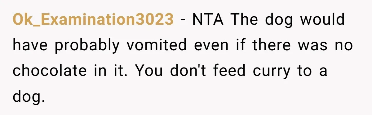 Ok_Examination3023 − NTA The dog would have probably vomited even if there was no chocolate in it. You don't feed curry to a dog.